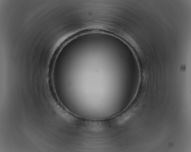 X0000093561020200710151103