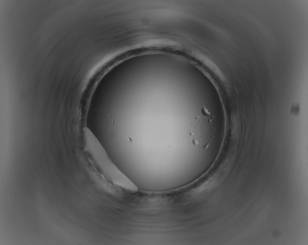 X0000093561021200710151103