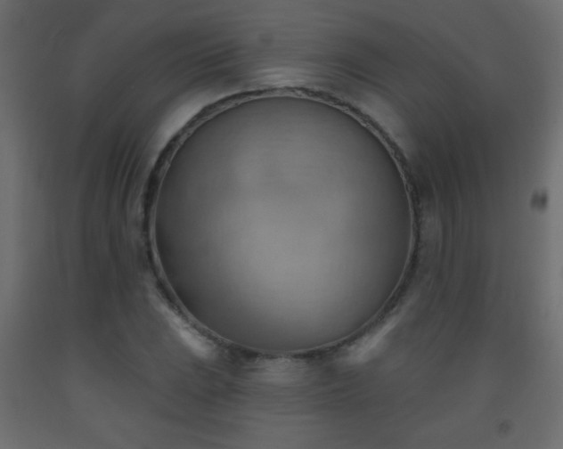 X0000093561023200710151103