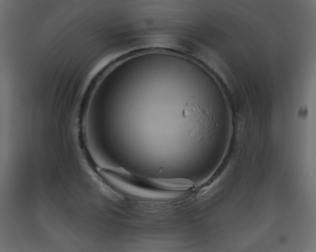 X0000093561024200710151103