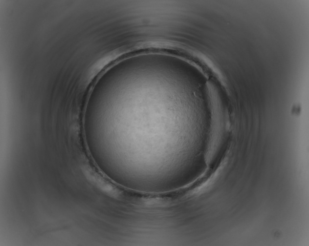X0000093561025200710151103