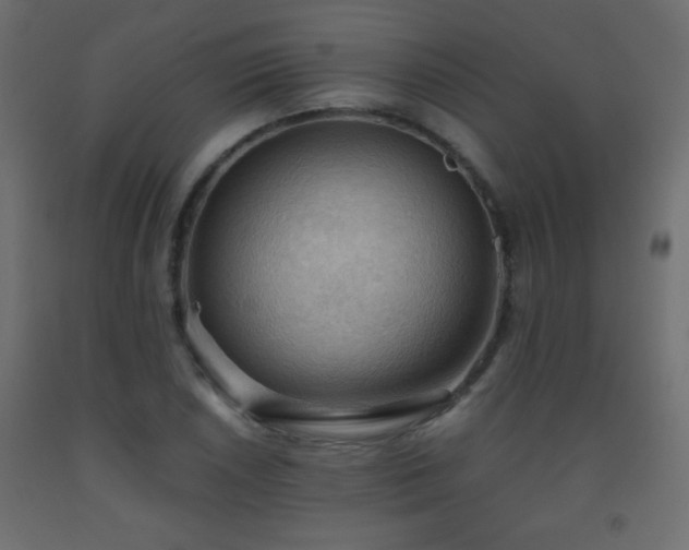 X0000093561026200710151103