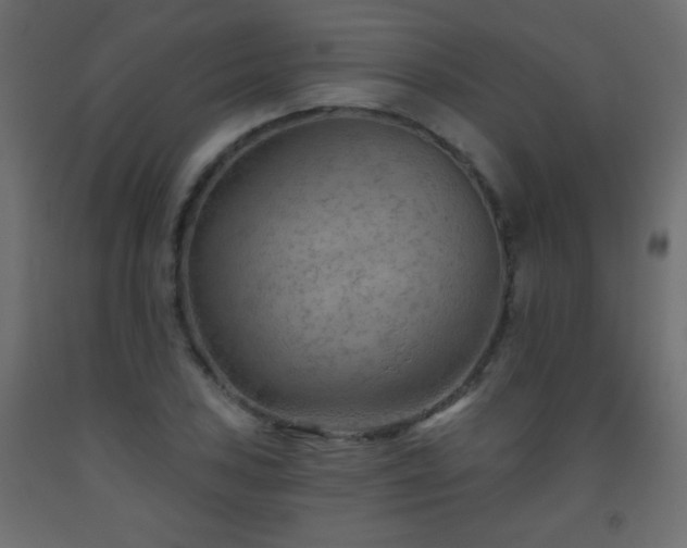 X0000093561027200710151103