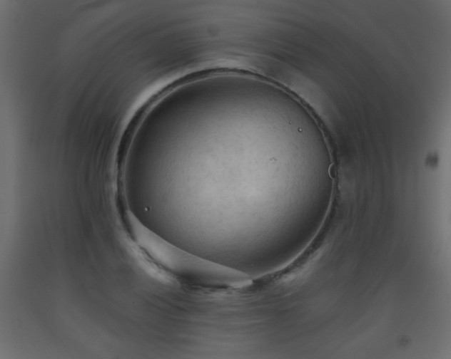 X0000093561028200710151103