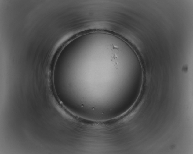 X0000093561029200710151103
