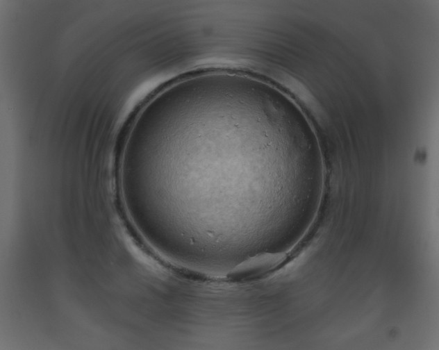 X0000093561030200710151103