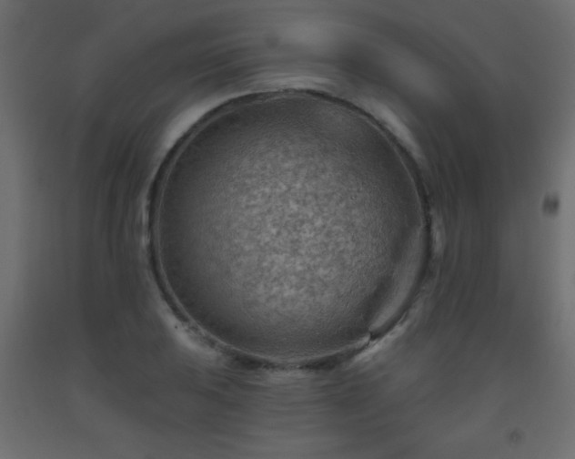 X0000093561031200710151103