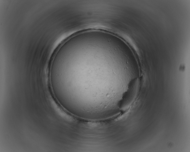 X0000093561032200710151103