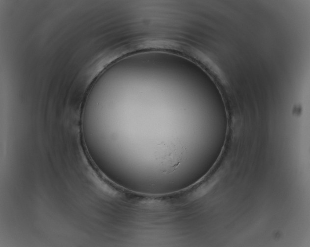 X0000093561033200710151103
