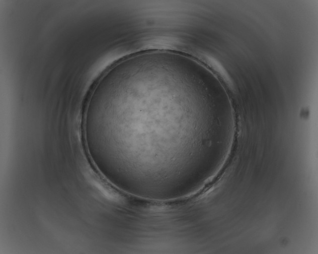 X0000093561035200710151103