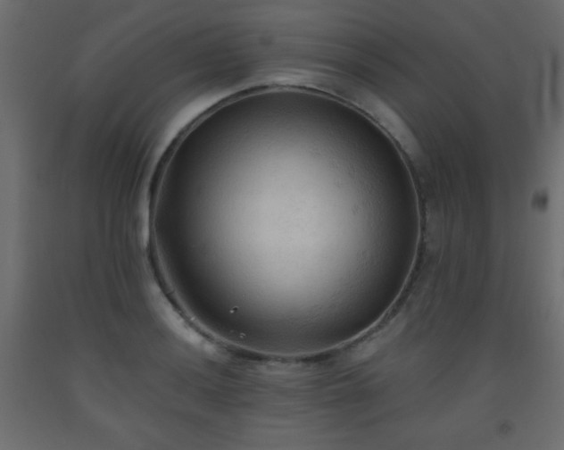 X0000093561036200710151103