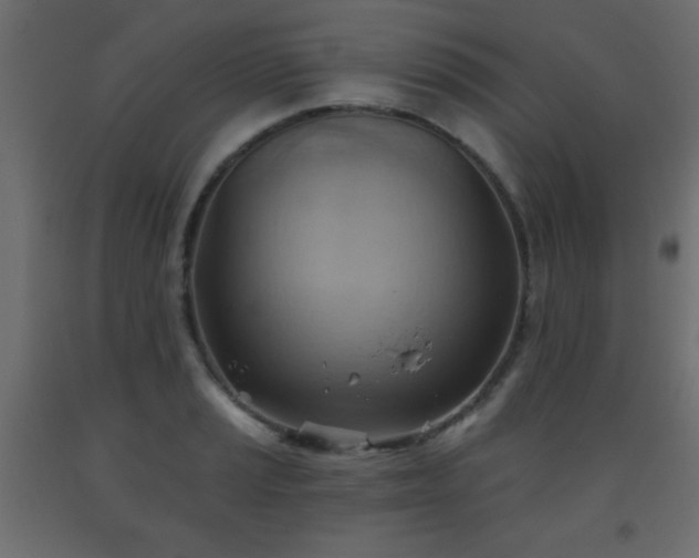 X0000093561037200710151103