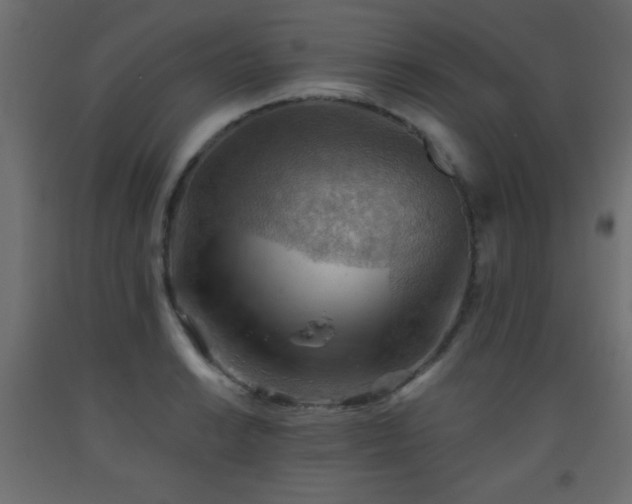 X0000093561038200710151103