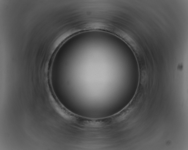 X0000093561039200710151103