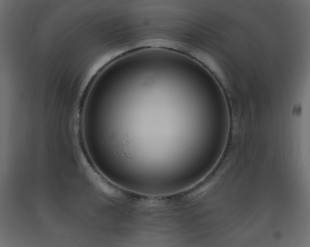 X0000093561040200710151103