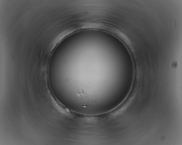 X0000093561041200710151103