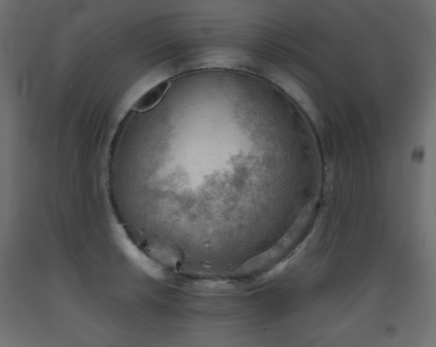 X0000093561042200710151103