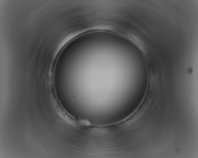 X0000093561044200710151103