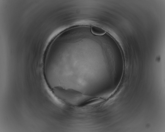 X0000093561045200710151103