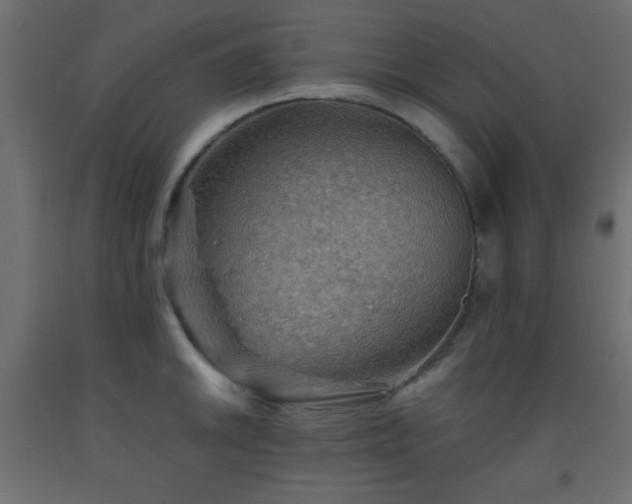 X0000093561046200710151103