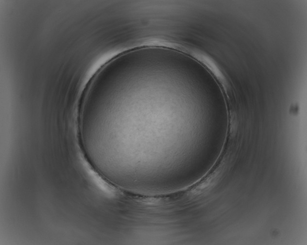 X0000093561048200710151103