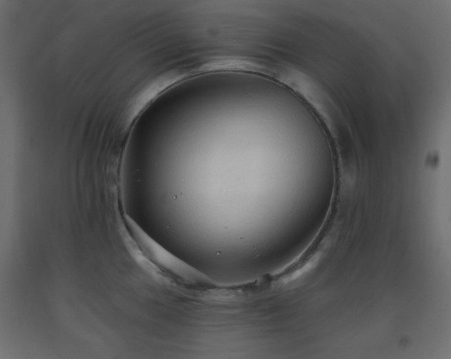 X0000093561049200710151103