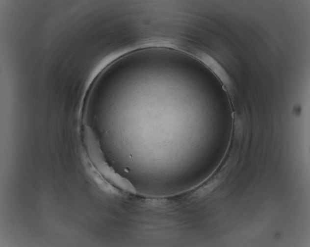 X0000093561052200710151103