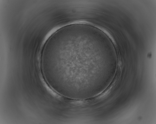 X0000093561054200710151103