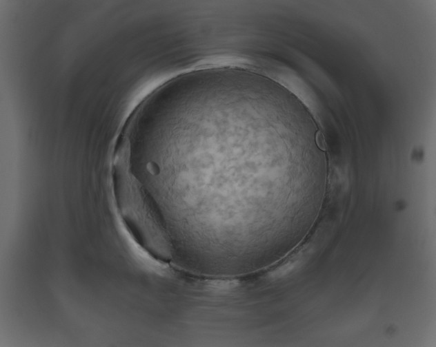 X0000093561055200710151103