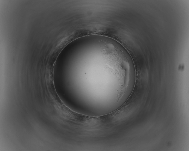 X0000093561058200710151103