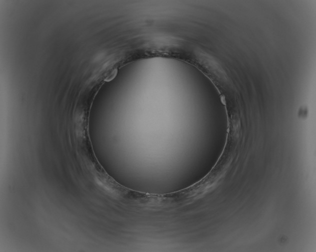 X0000093561060200710151103