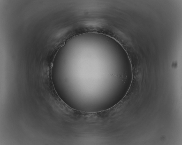 X0000093561061200710151103