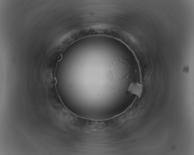 X0000093561062200710151103