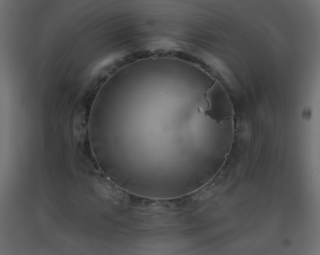 X0000093561063200710151103