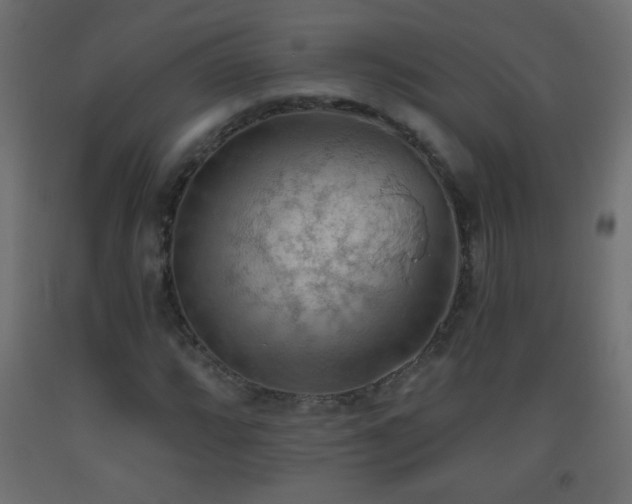 X0000093561064200710151103