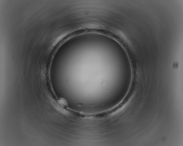 X0000093561065200710151103