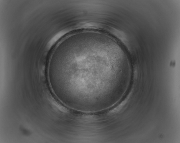 X0000093561066200710151103