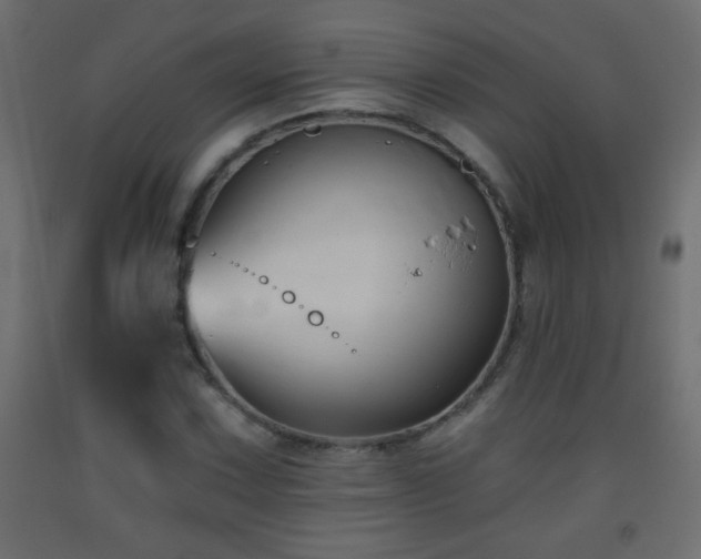 X0000093561067200710151103