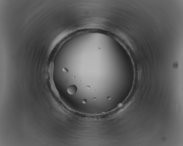 X0000093561069200710151103