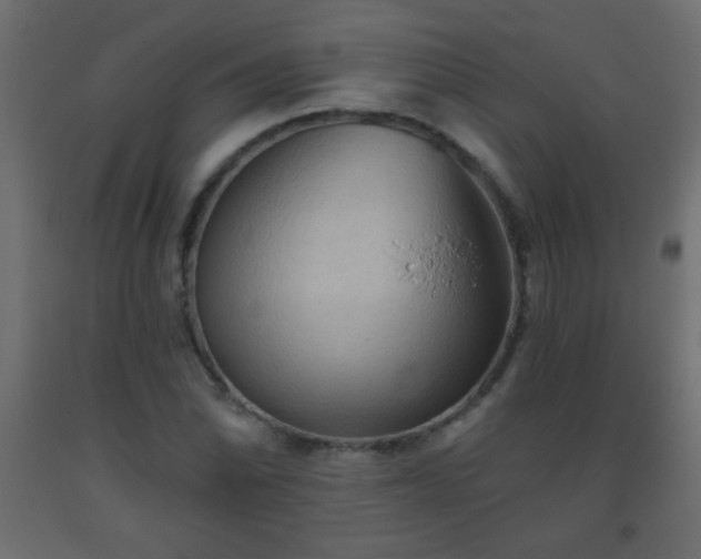 X0000093561070200710151102