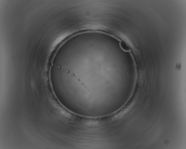 X0000093561071200710151102