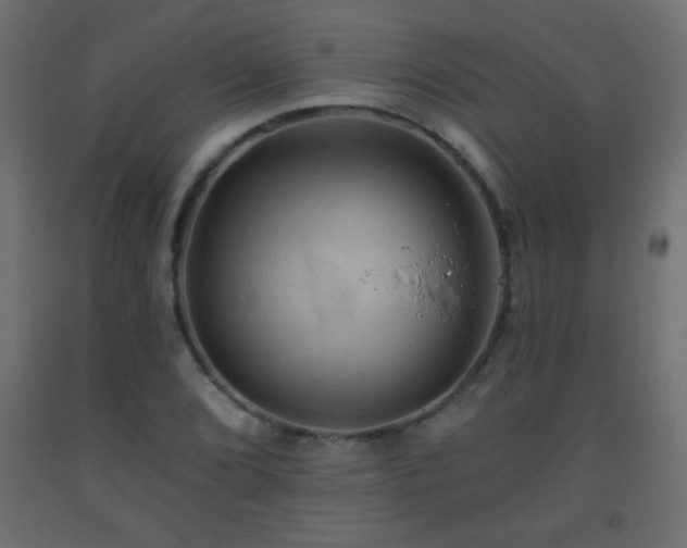 X0000093561072200710151102