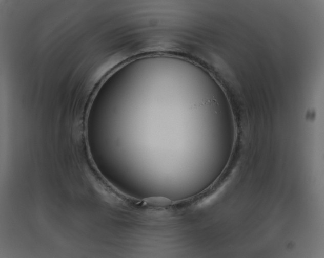 X0000093561073200710151102