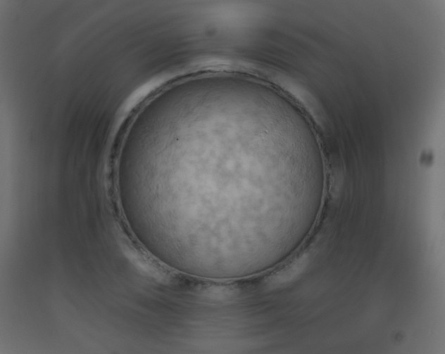 X0000093561074200710151102