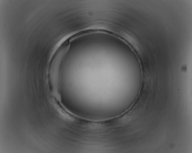 X0000093561076200710151102