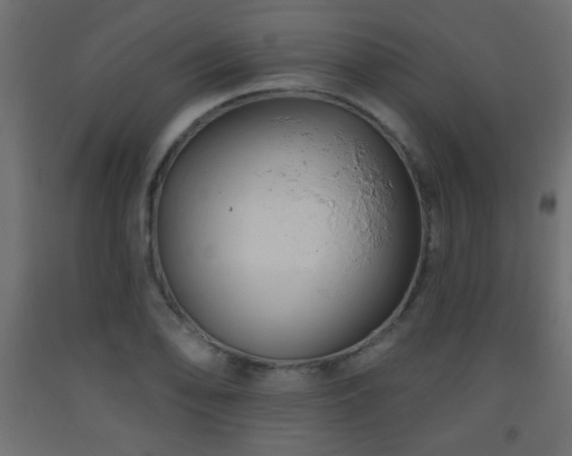 X0000093561078200710151102