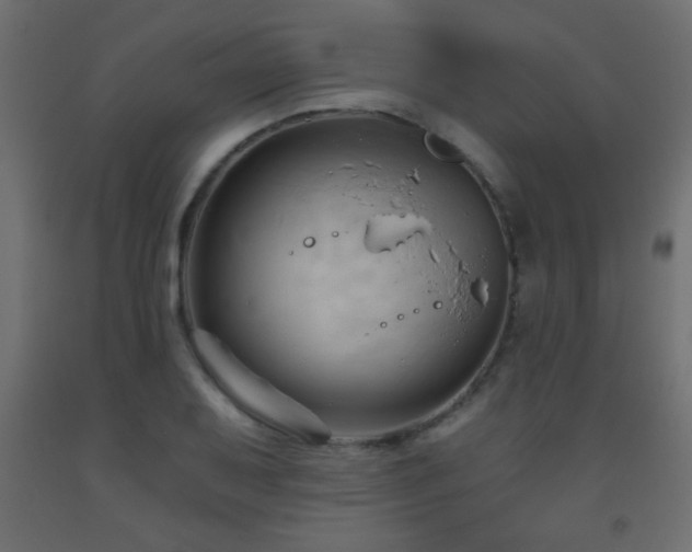 X0000093561079200710151102