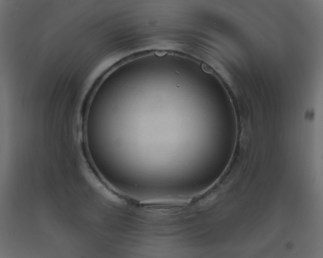 X0000093561080200710151102