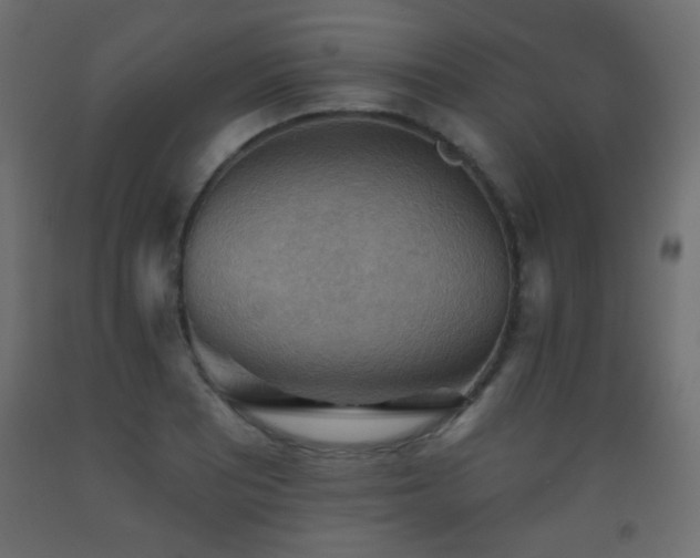 X0000093561081200710151102