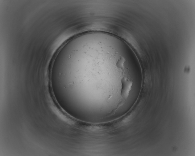 X0000093561082200710151102